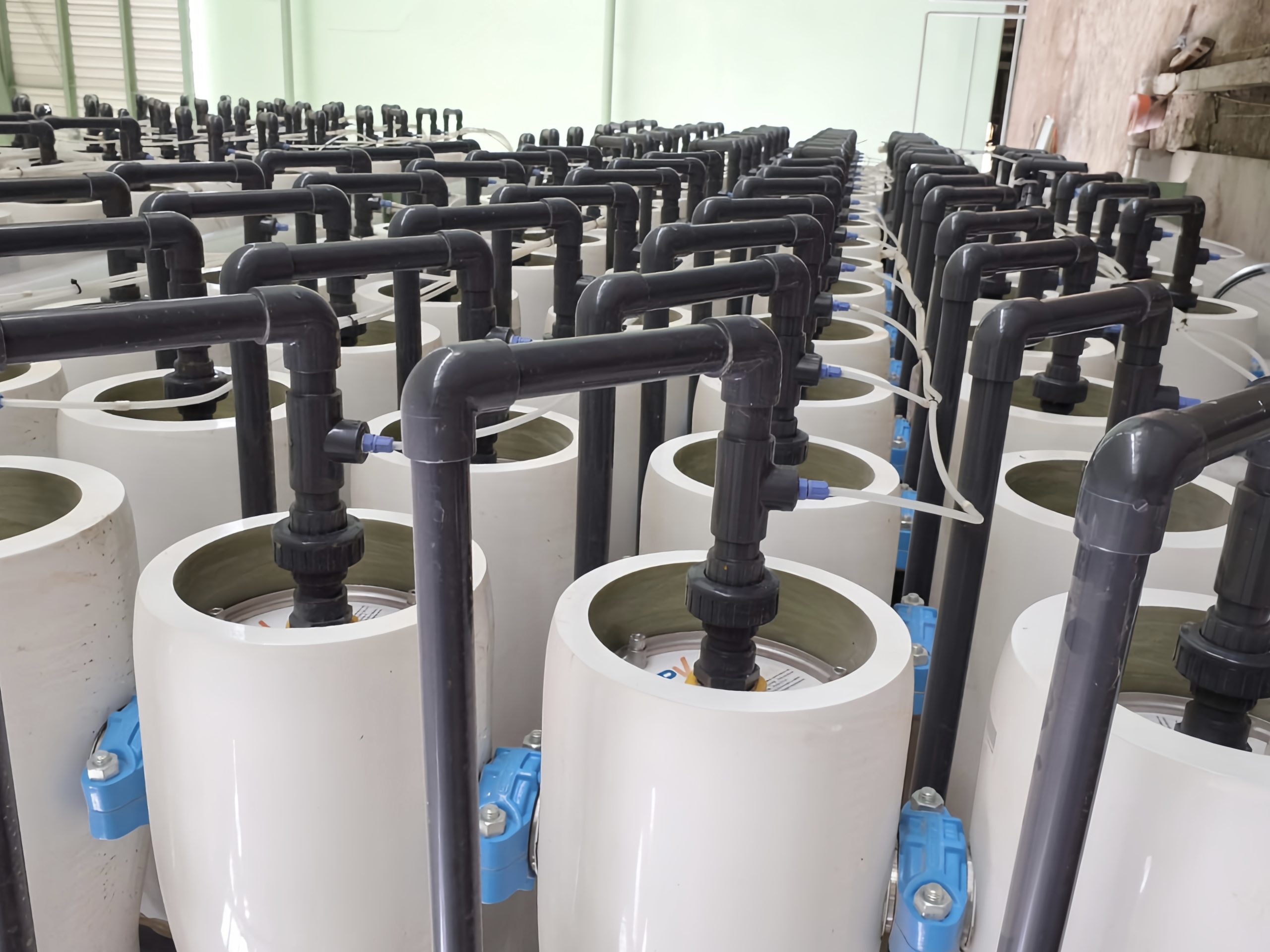 Rows of cylindrical tanks connected by black plastic pipework in an industrial facility.